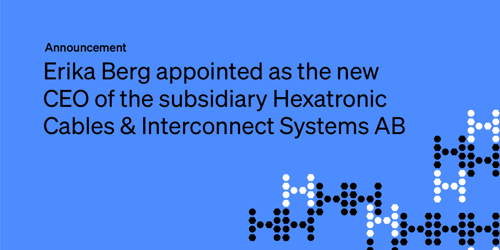 Erika Berg appointed as the new CEO of the subsidiary Hexatronic Cables & Interconnect Systems AB