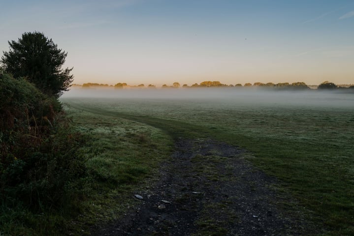 Nature_fog_road